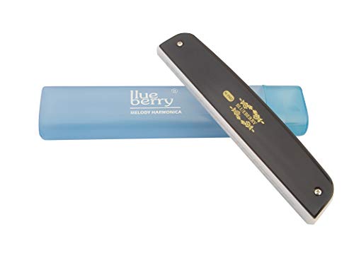 Blueberry H-2402 24 Holes 48 Tones Key C Mouth Organ (Black)