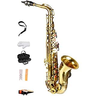 SmSai Musicals Saxophone Gold Polish Siko Mouthpiece With Gloves, 2 Reed, Belt And Hard Case Cover,
