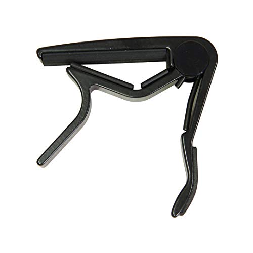 Jim Dunlop Acoustic Guitar Bridge Pins (37084002001)