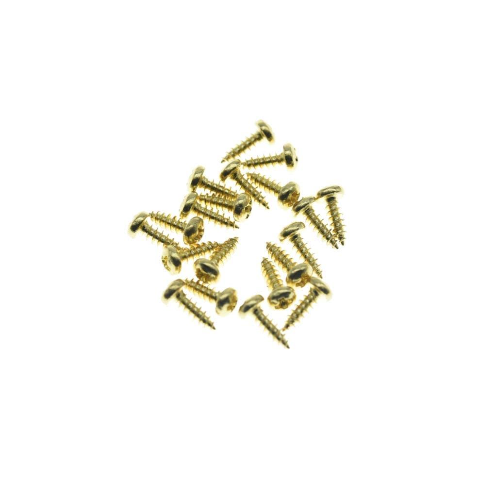 Kaish 20-Pack Premium Stainless Steel American #2 X 1/4'' Phillips Head Guitar Truss Rod Cover Screws For Import Les Paul Lp/Sg