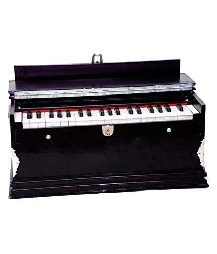 Sgml Musical Harmonium Bass+Male Two Reeds, Finish Lacquer, Without Stopper () - Sg Musical