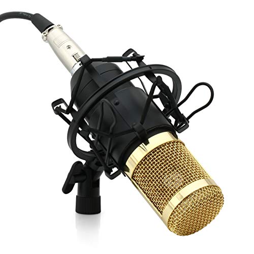 Powerpak Bm-800 Black Silica Gel Professional Condenser Microphone With Metal Shock Mount (Requires Phantom Power Or Sound Card)