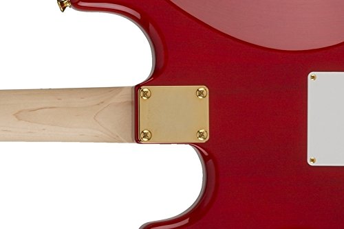 Fender 4 Screw Neck Plate Gold