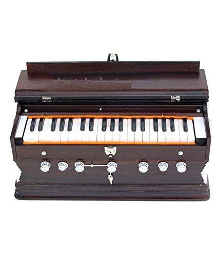 Hs Internet Harmonium~440Hz~Extra Height~Long Sustain Sound~Yoga~Bhajan~Kirtan~Dj