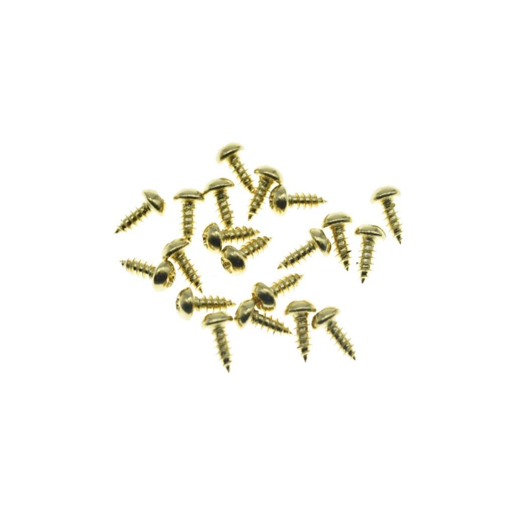 Kaish 20-Pack Premium Stainless Steel American #3 X 1/4'' Phillips Head Guitar Truss Rod Cover Screws For Usa Les Paul Lp/Sg Gol