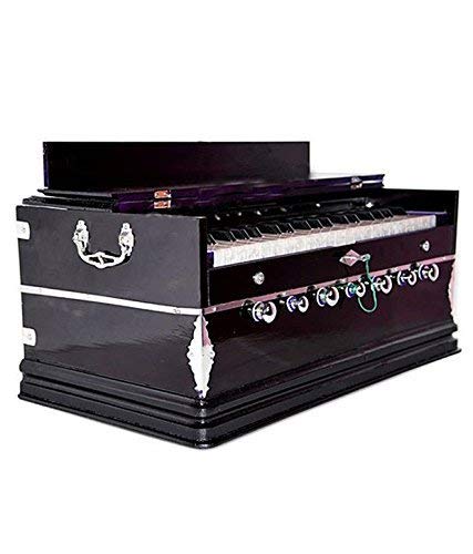 Hs Internet 39 Keys Double Bellow Harmonium