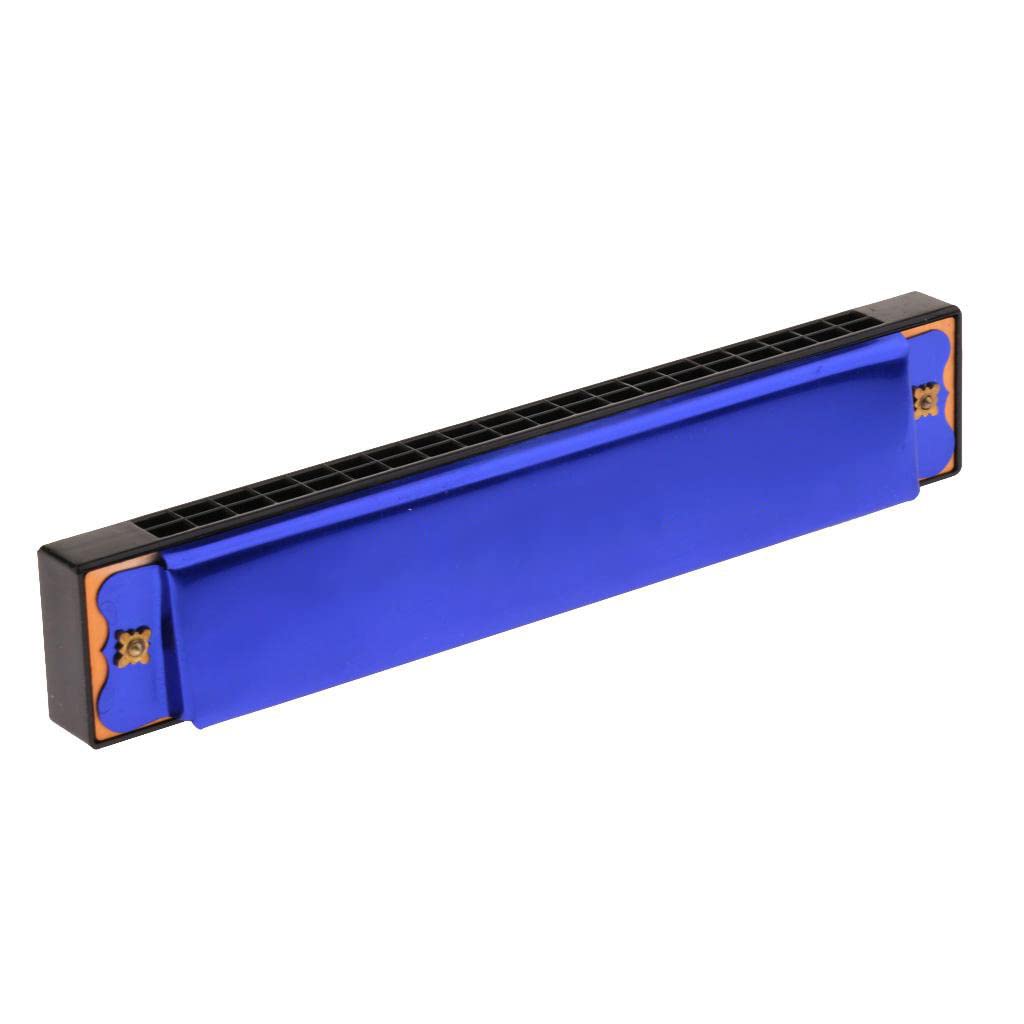 Ascension Harmonica Mouth Organ 24 Holes 48 Reads Key C With Plastic Case Beginner Students, Excellent Gift For Music Fan, Best 