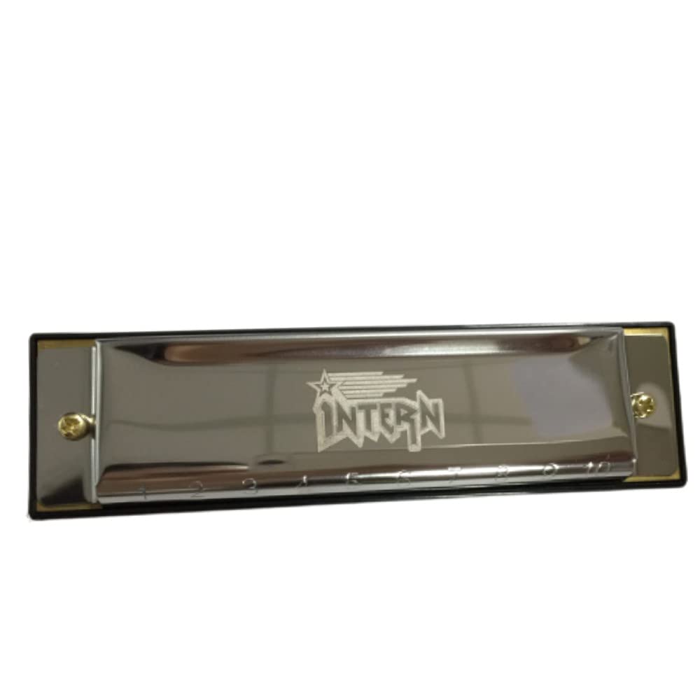 Intern KEY C 10 Hole Diatonic Blues Mouth Organ Harmonica for Professional Player, with case and cleaning cloth (Silver) (INT-HA