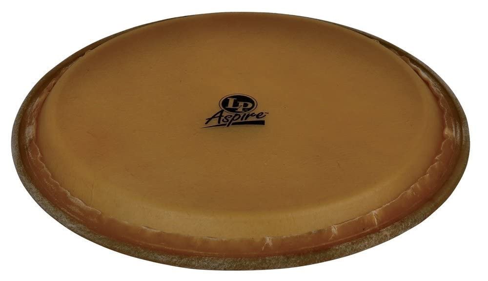 Latin Percussion LPA640B Aspire 11-Inch Rawhide Conga Head