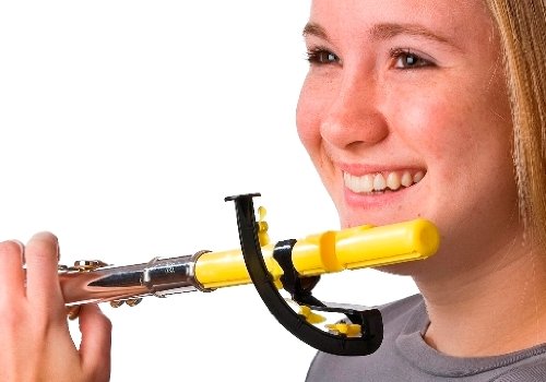 Pneumo Pro Wind Director Practice Tool