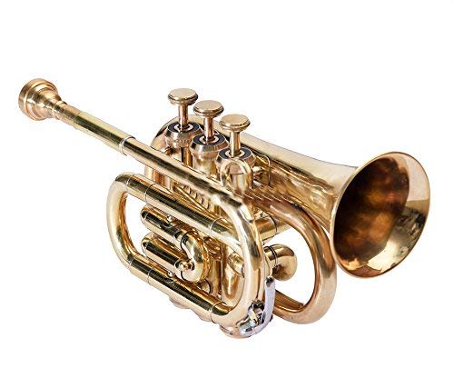 Pocket Trumpet 3 ValveS Pro Shinning Brass With Mouth Piece And Case