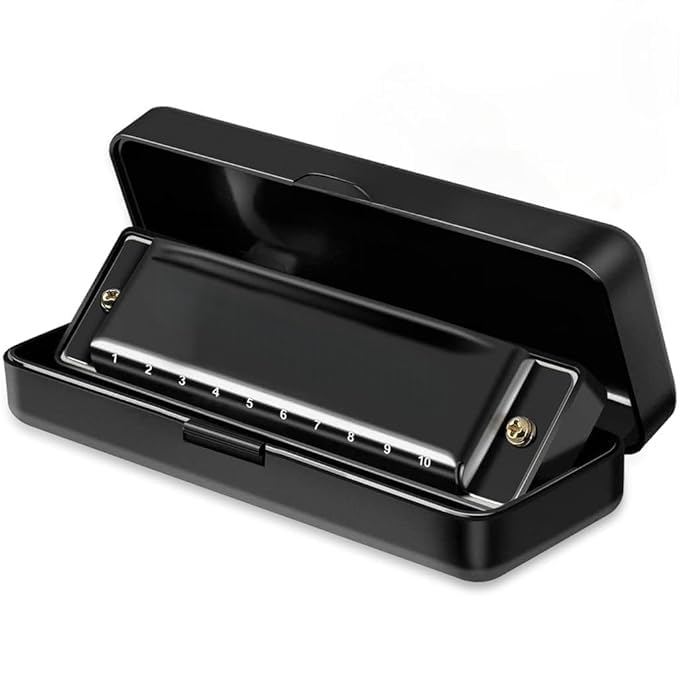 The Pagh Harmonica, 10 Holes, Key Of C, Professional Blues Diatonic Harmonica For Beginners,Great For Practice, Travel & Gifting