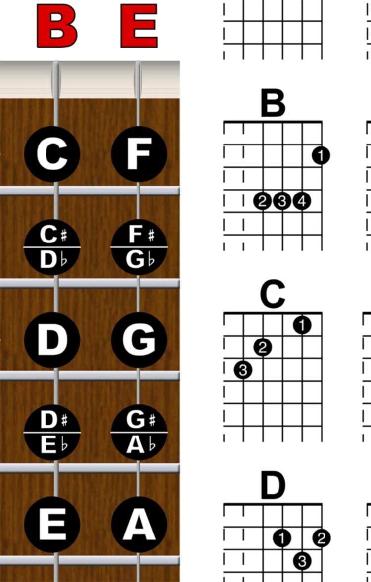 Laminated Guitar Fretboard & Chord Chart - Easy Instructional Poster for Beginner 8.5 ''x11 '' | A New Song Music