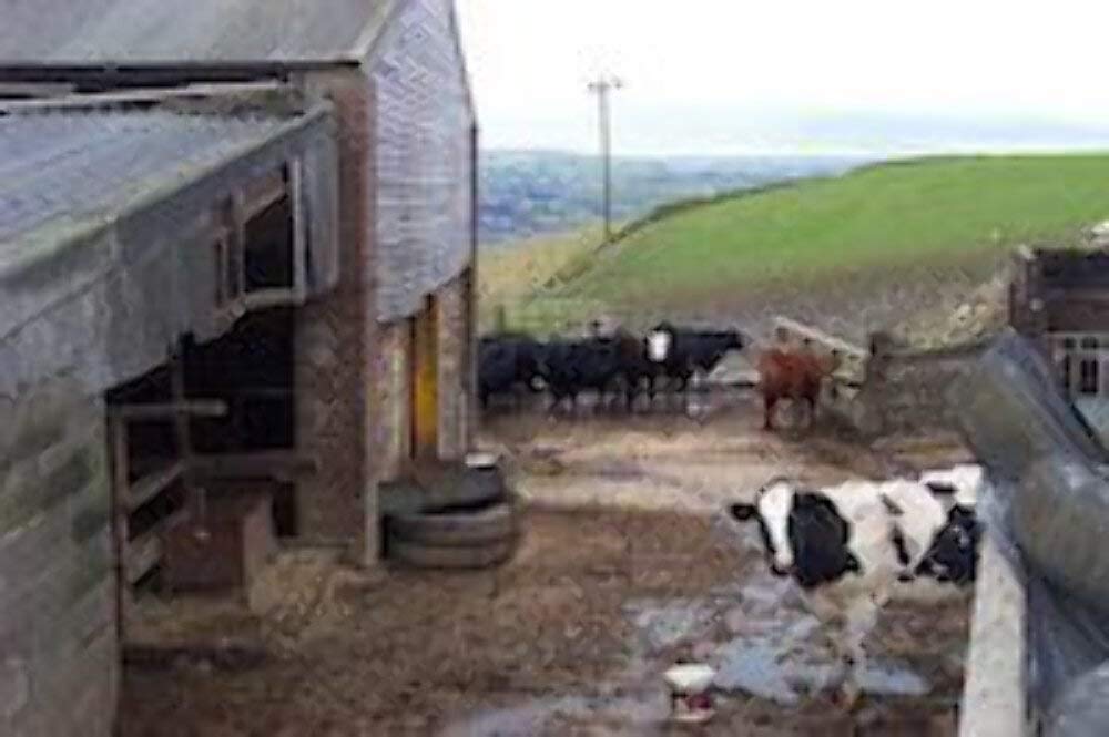 Froggy'S Fog - Scented Cologne Spray (1 Oz. Barnyard)