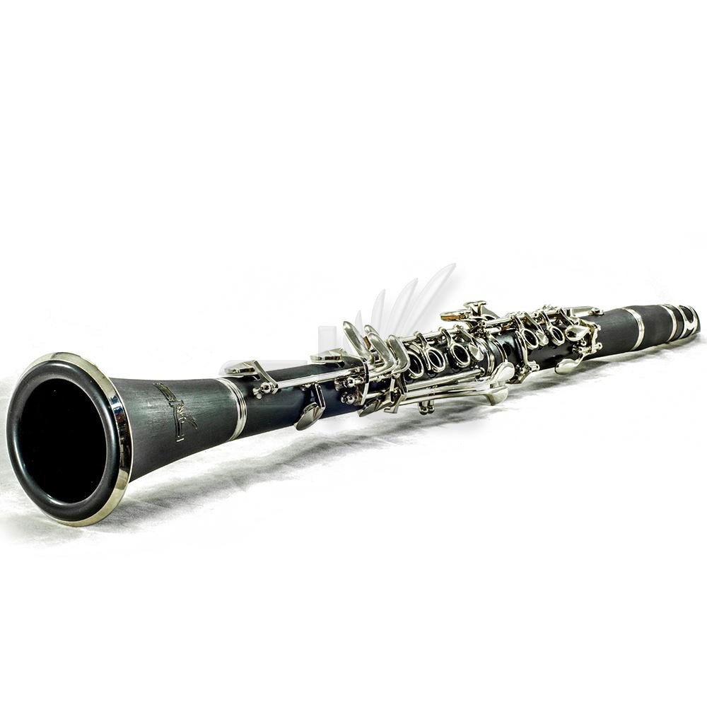 SKY Black Student Ebonite ABS Bb Clarinet with Case, Mouthpiece, 11 Reeds, Care kit and more