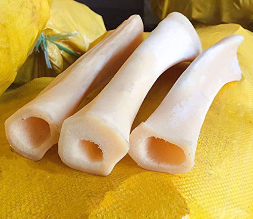 Vencetmat 6Pcs Blank & Uncut Guitar Nut White Color Made of Real Bone 52x6x10mm for Electric & Acoustic & Classical & Cigar Guit