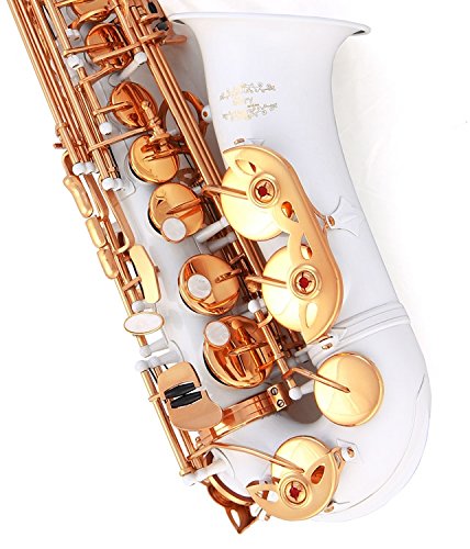 Glory White Laquer E Flat Alto Saxophone with 11reeds,8 Pads cushions,case,carekit