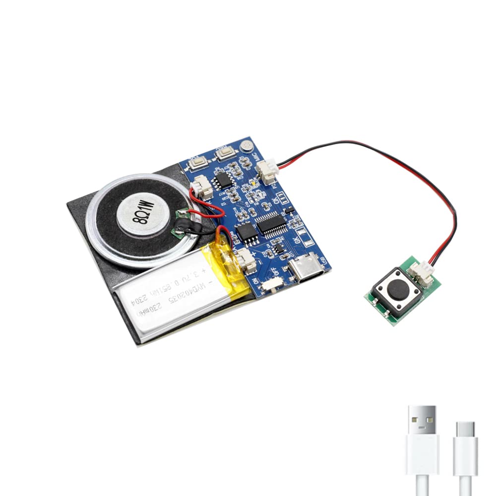 XLW Module - 16MB Push Button Activated Sound Module with Speaker, Type-C Cable, and Easy Recording Capability16 Minutes for Per