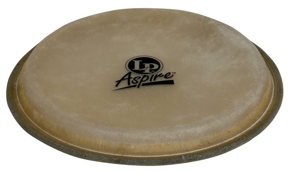 LP Aspire 6.75 Bongo Head