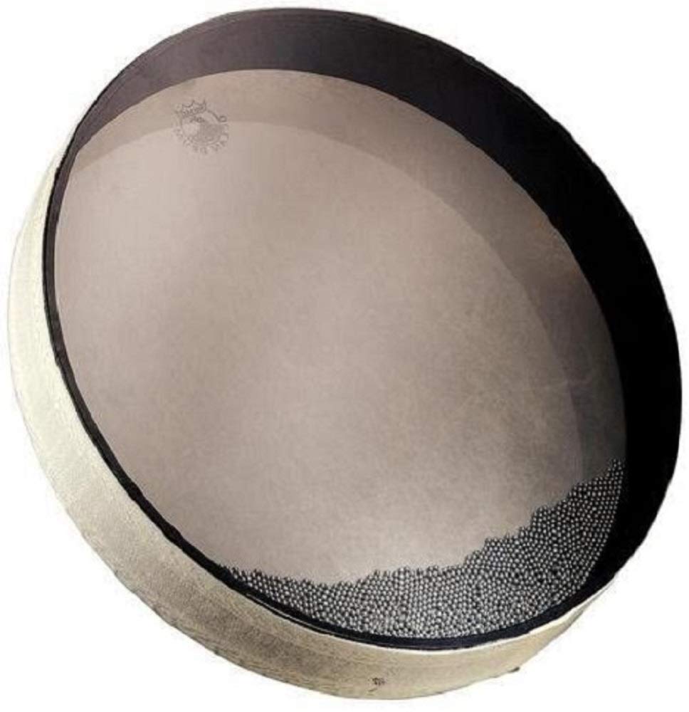 Remo OCEAN DRUM, 16 Diameter, 2 1/2 Depth, Standard