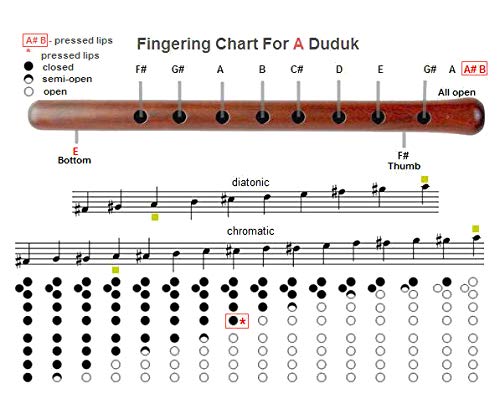 Theodoros Armenian Duduk, A Key, Apricot Wood, Intermediate, with Case, 2 Reeds & Instruction