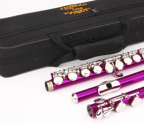 Glory Closed Hole C Flute With Case, Tuning Rod and Cloth and Gloves pink
