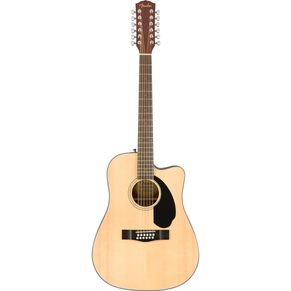 Fender 12-String Acoustic Electric Guitar, with 2-Year Warranty, with Fishman Acoustic Guitar Pickup with Tuner and Equalizer, R