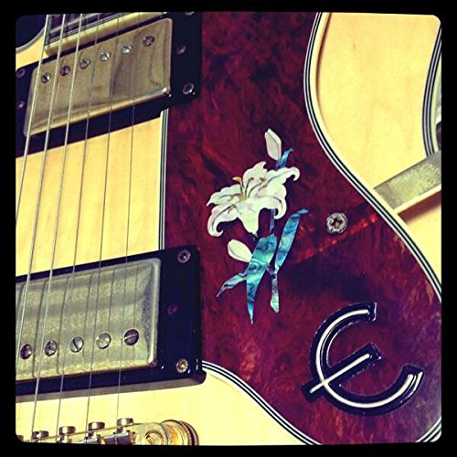 Inlaystickers Sticker/Decal (H-123LY)