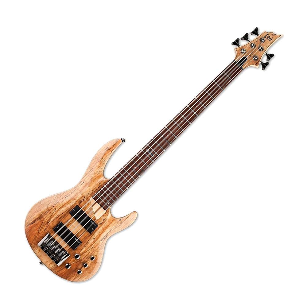 ESP LTD B-205 5-string Bass Guitar - Natural Satin