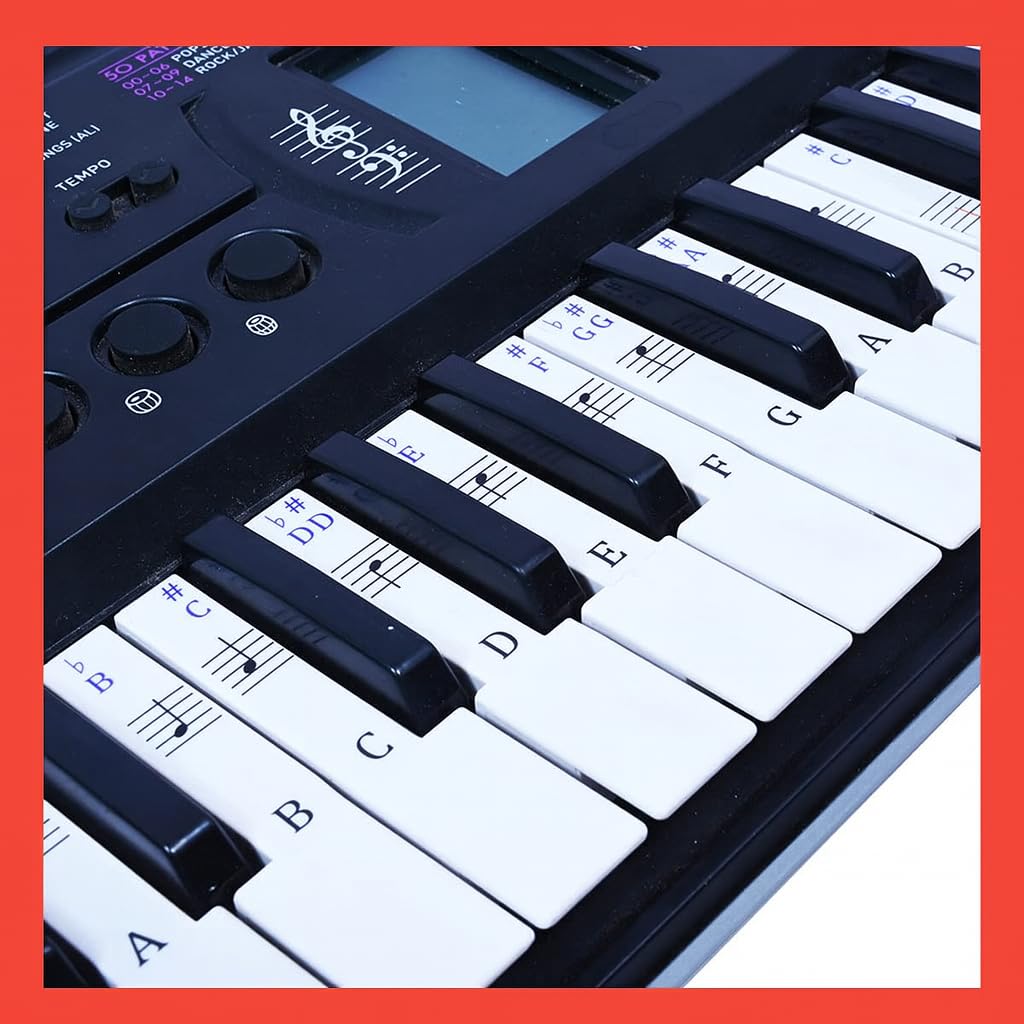 Palap Piano/Keyboard Stickers For Beginners For 49, 61, 76, 88 Key (Piano Stickers) Purple