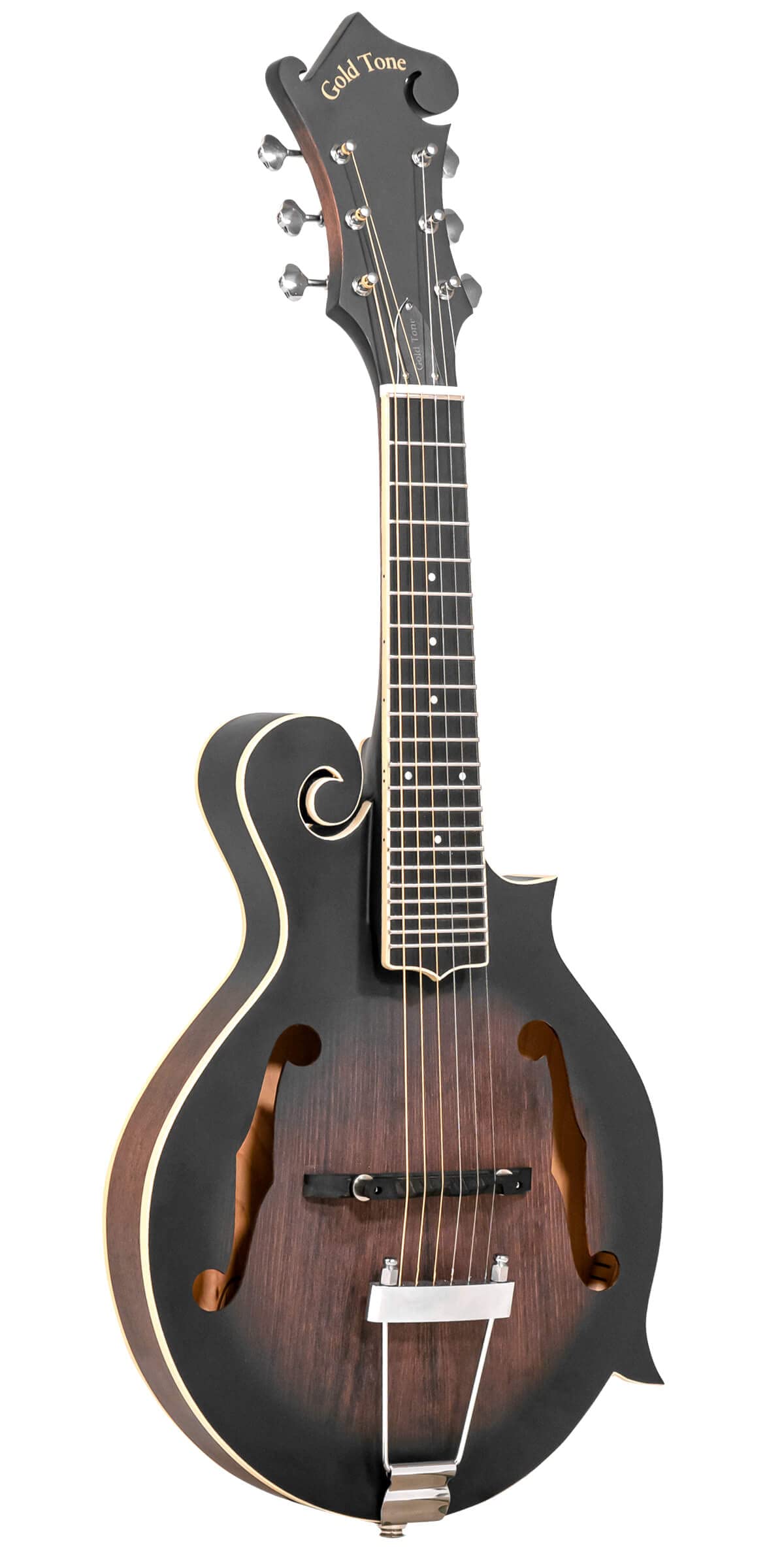 Gold Tone F-6: F-style Mando-Guitarwith Pickup and Hard Foam Case | Manditar tuned EADGBE