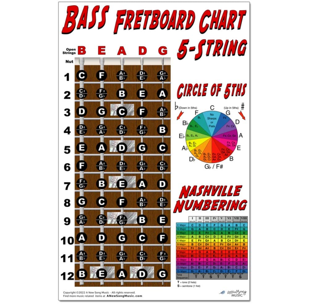 A New Song Music 5 String Bass Fretboard Poster - Nashville Numbering System, Circle of 5ths, Notes Instructional Chart 11x17