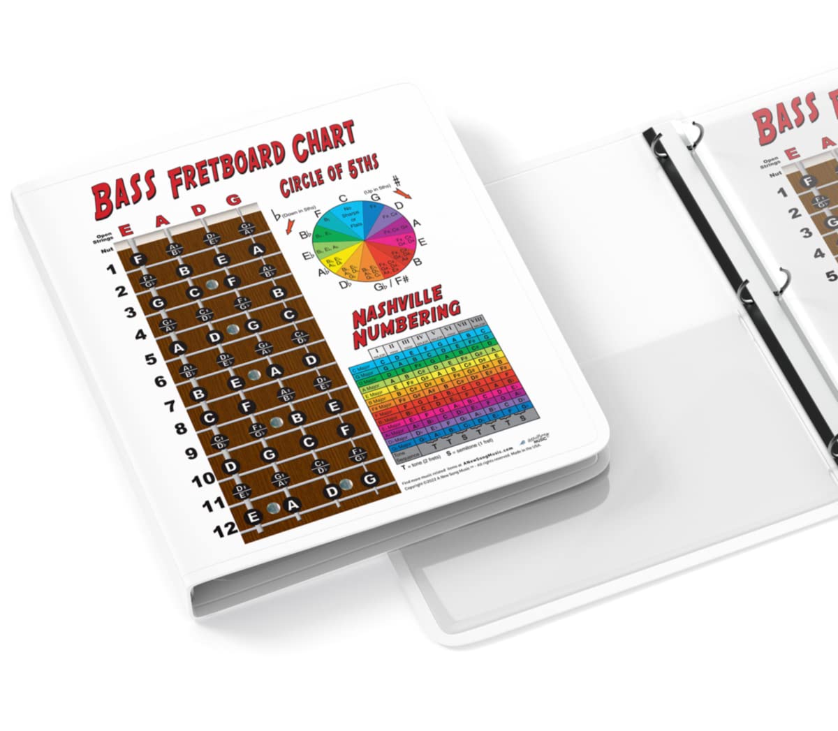 Laminated 4 String Bass Fretboard Notes Chart Nashville Number System & Circle Of 5Ths Easy Instructional Poster For Beginner Fo