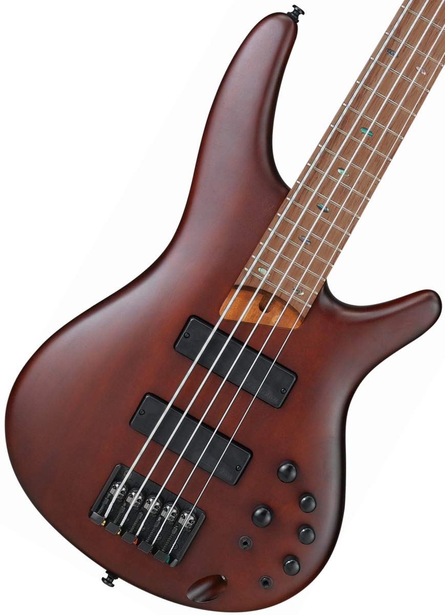 Ibanez Sr Standard 5-String Electric Bass Guitar (Right-Hand, Brown Mahogany)