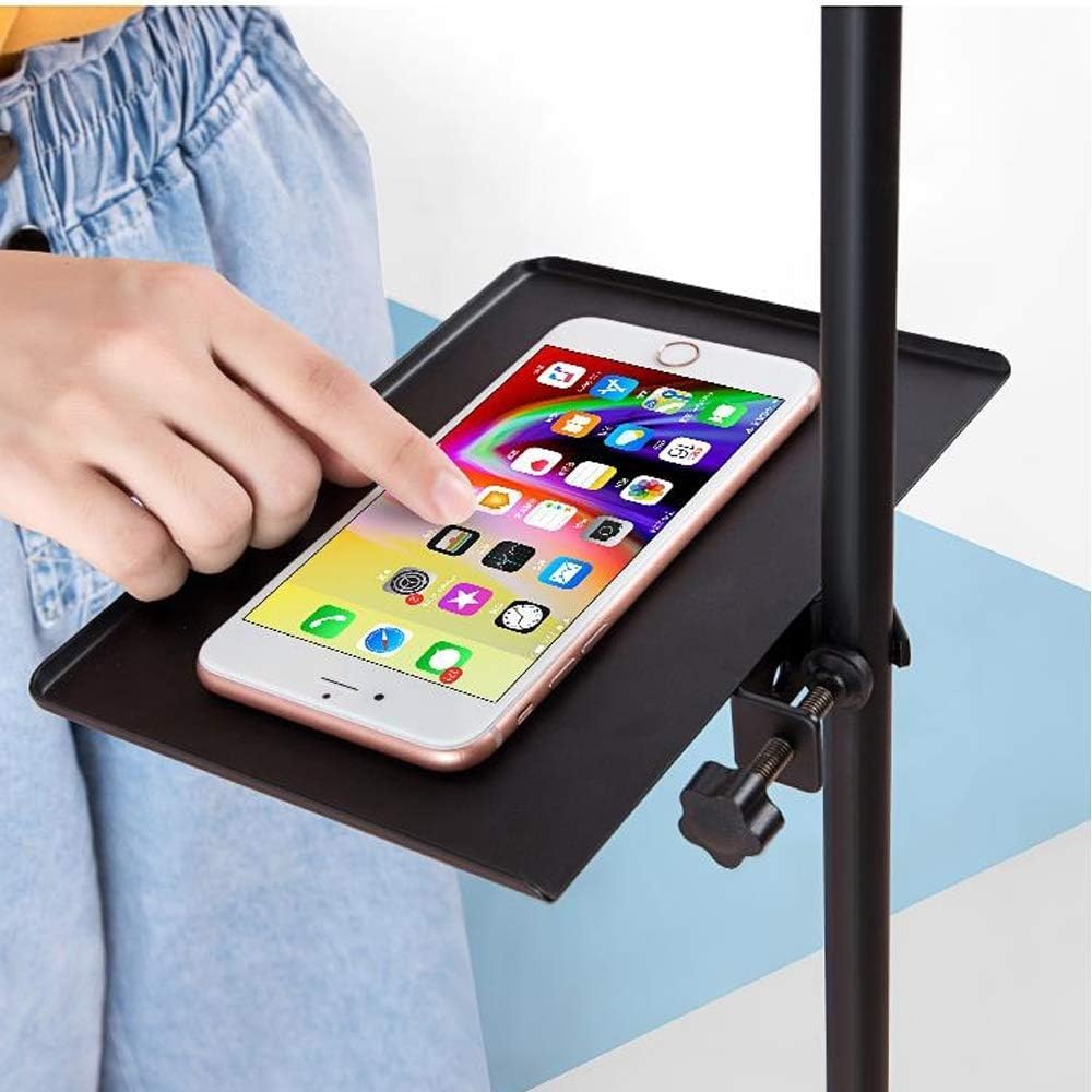 Foiltech Mic Microphone Tray Fits All Music Sheet Tripod Stand, Mic,Microphone Stand Karoke Stand, Clamp-On Rack Tray ((Check Fi