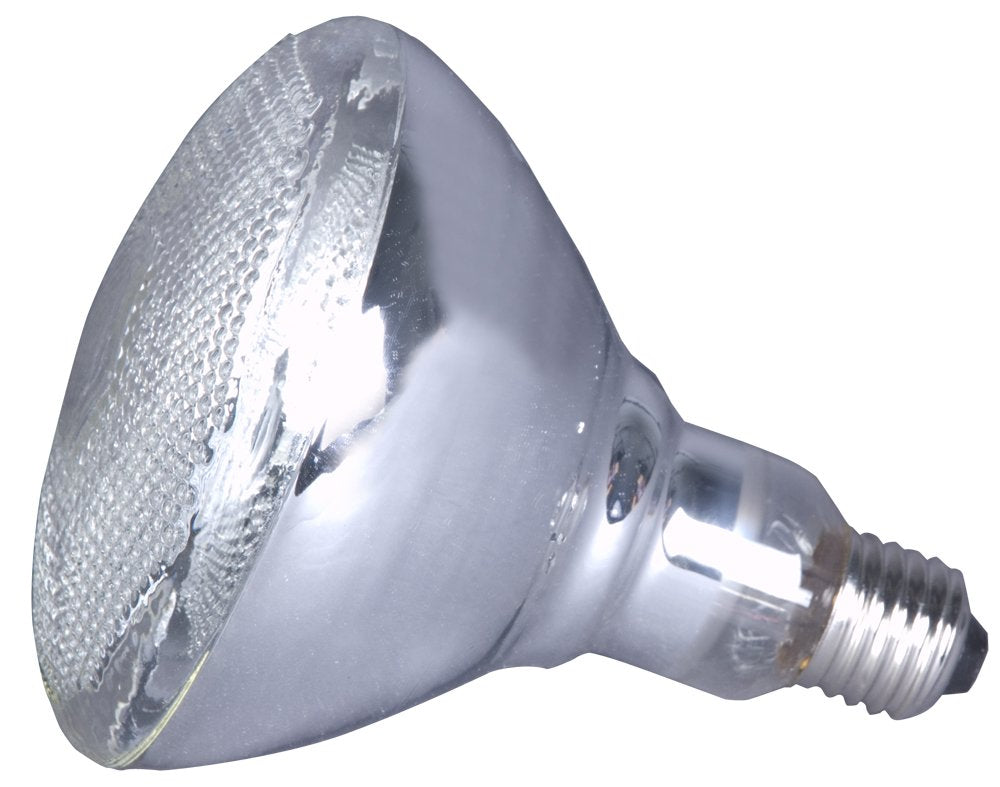 Lamplite 150W Lamp For Par 38