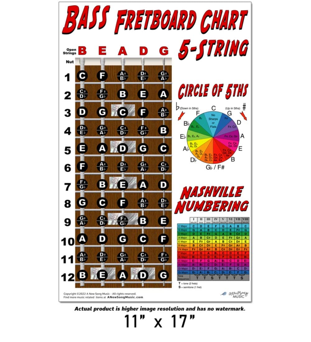 A New Song Music 5 String Bass Fretboard Poster - Nashville Numbering System, Circle of 5ths, Notes Instructional Chart 11x17