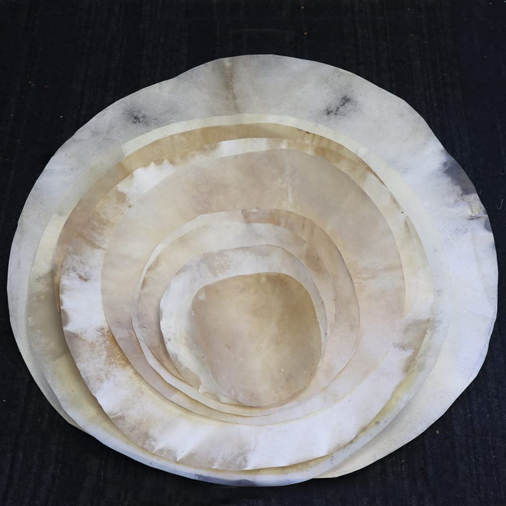 Zaza Percussion - Goatskin for Darbuka Doumbek Drum, Goat Skin for Djembe Natural Flat Round Goat Skin Head-12