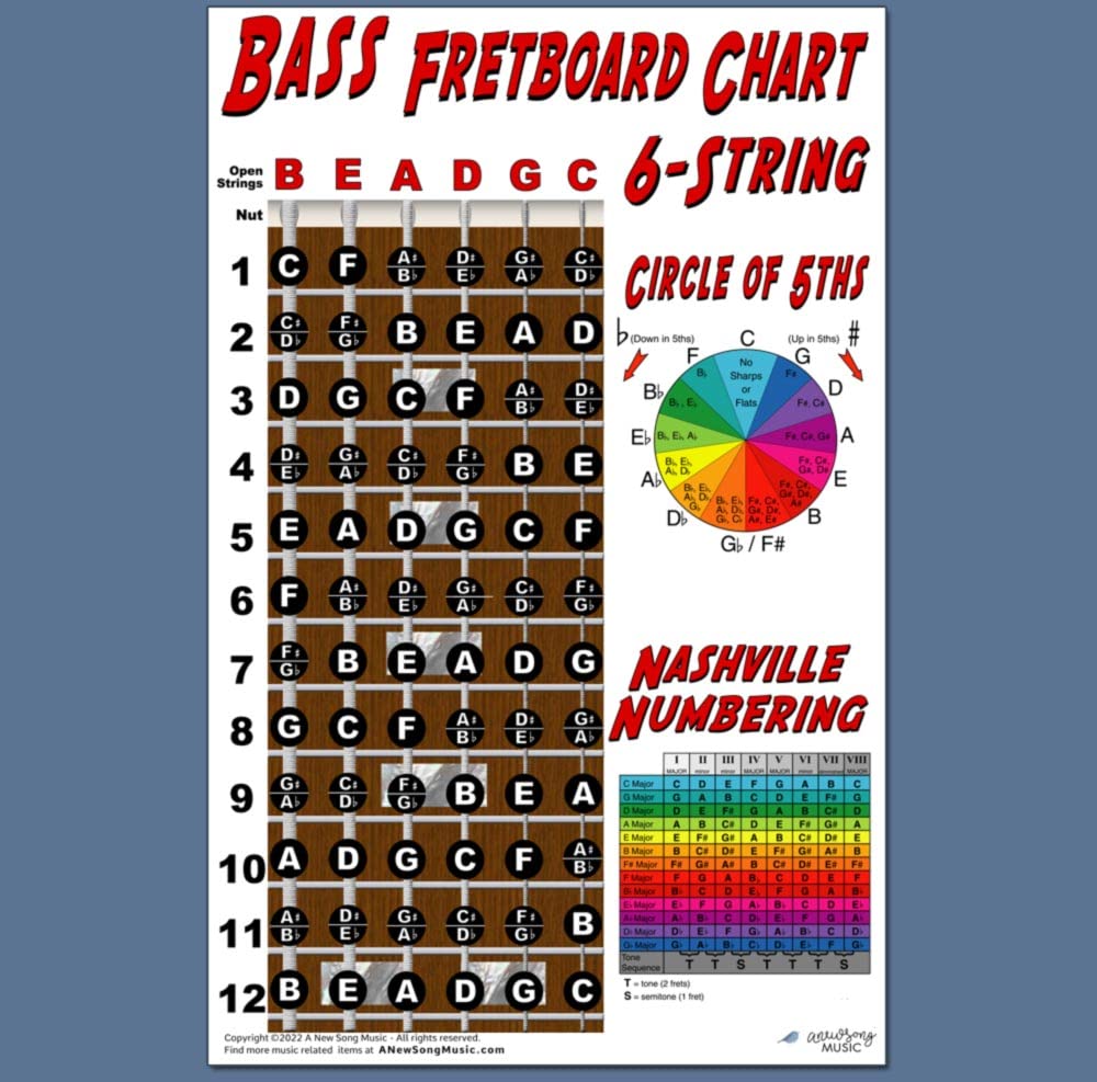 6 String Bass Fretboard Poster - Nashville Numbering System, Circle Of 5Ths, Notes Instructional Chart | A New Song Music | 11X1