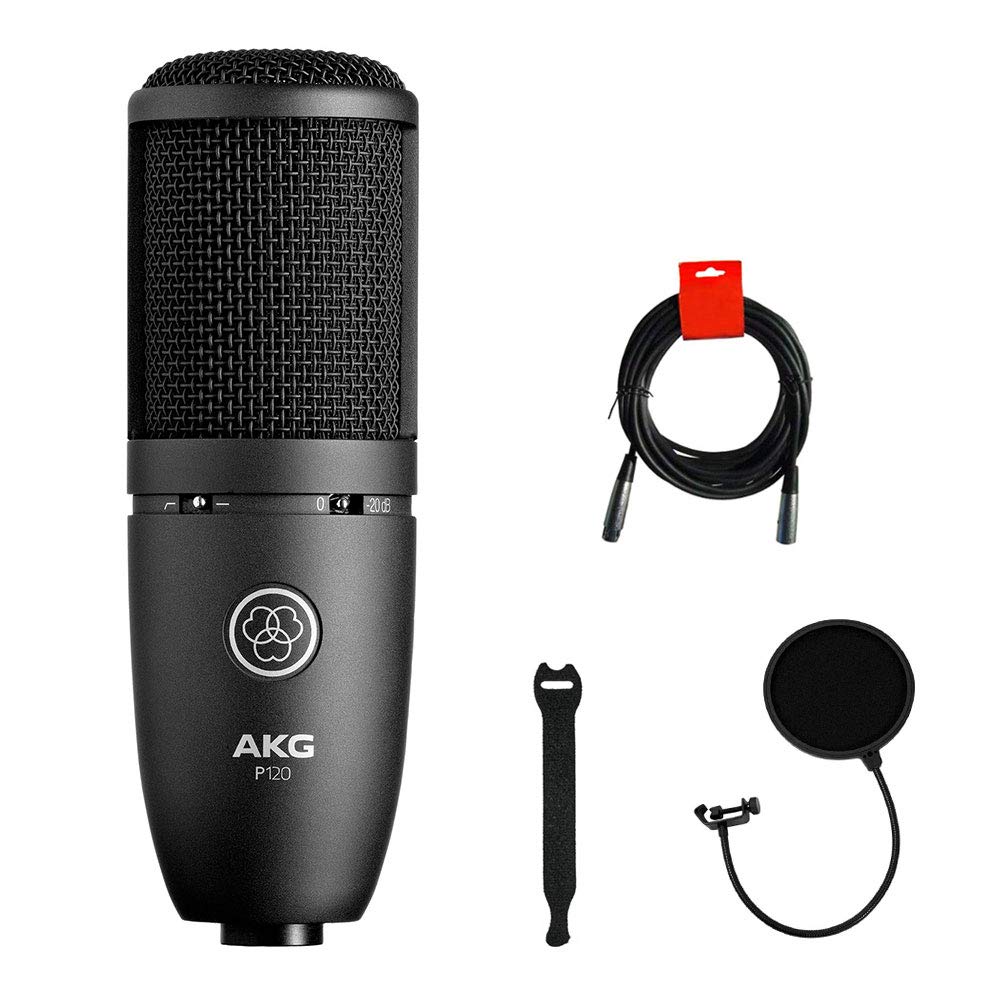 Akg P120 Cardioid Condenser Microphone (Black) With Xlr-Xlr Cable, Pop Filter & 10-Pack Straps Bundle
