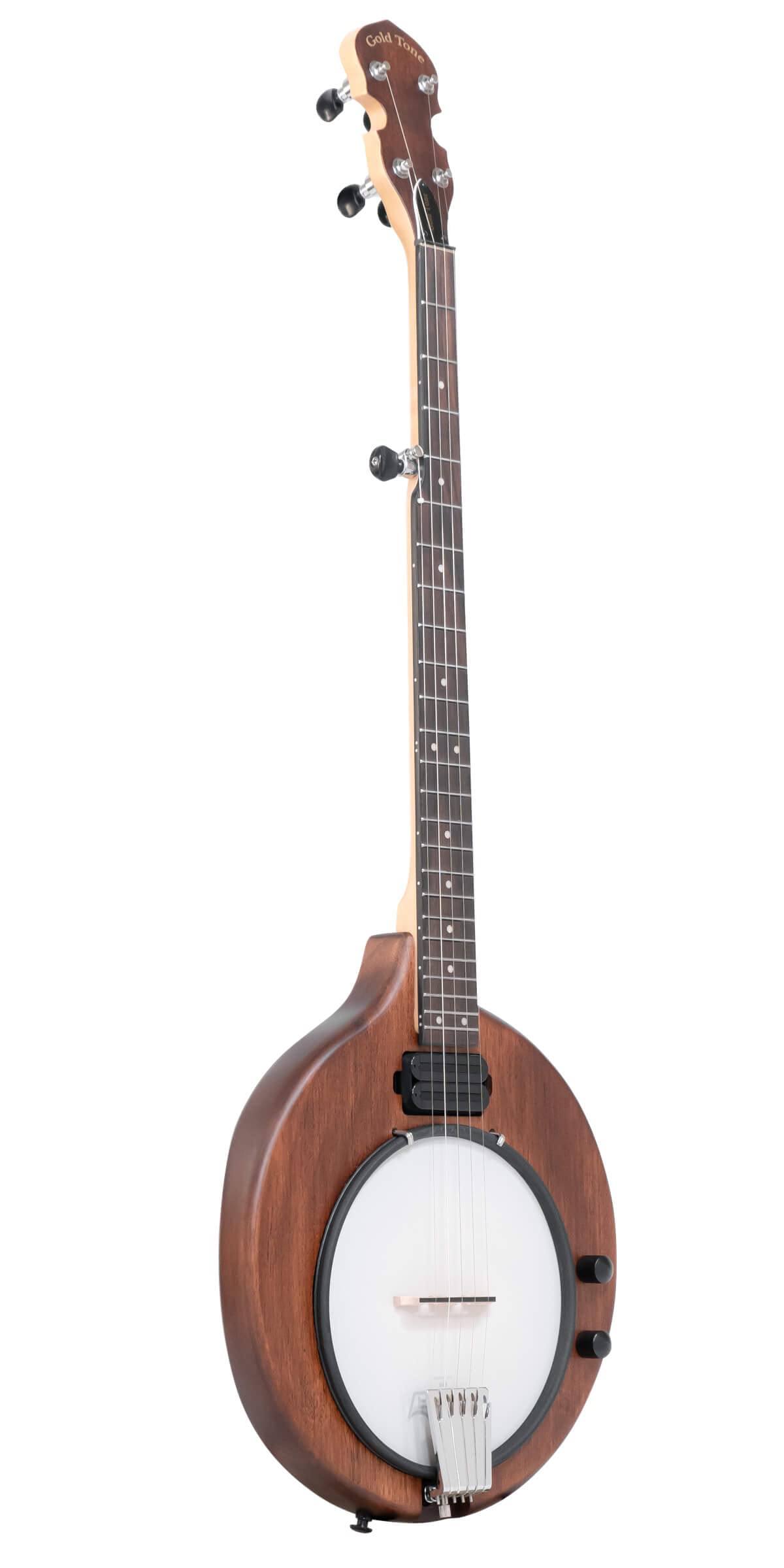 Gold Tone EB-5 Electric Banjo
