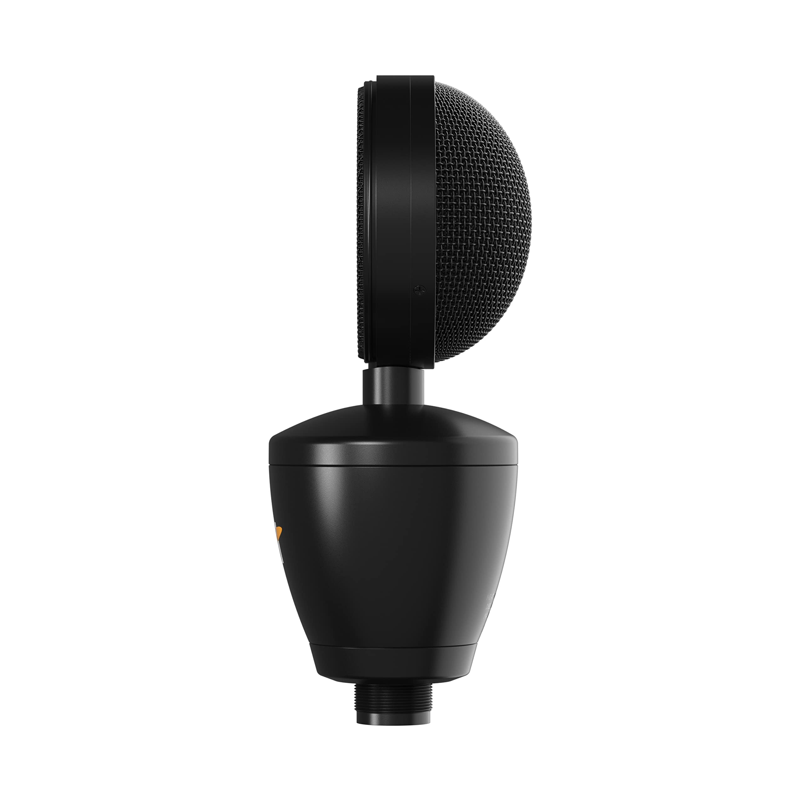 NEAT Microphones Neat Worker Bee II - Cardioid Medium Diaphragm Condenser Microphone with Internal Capsule Shock Mount, for Reco