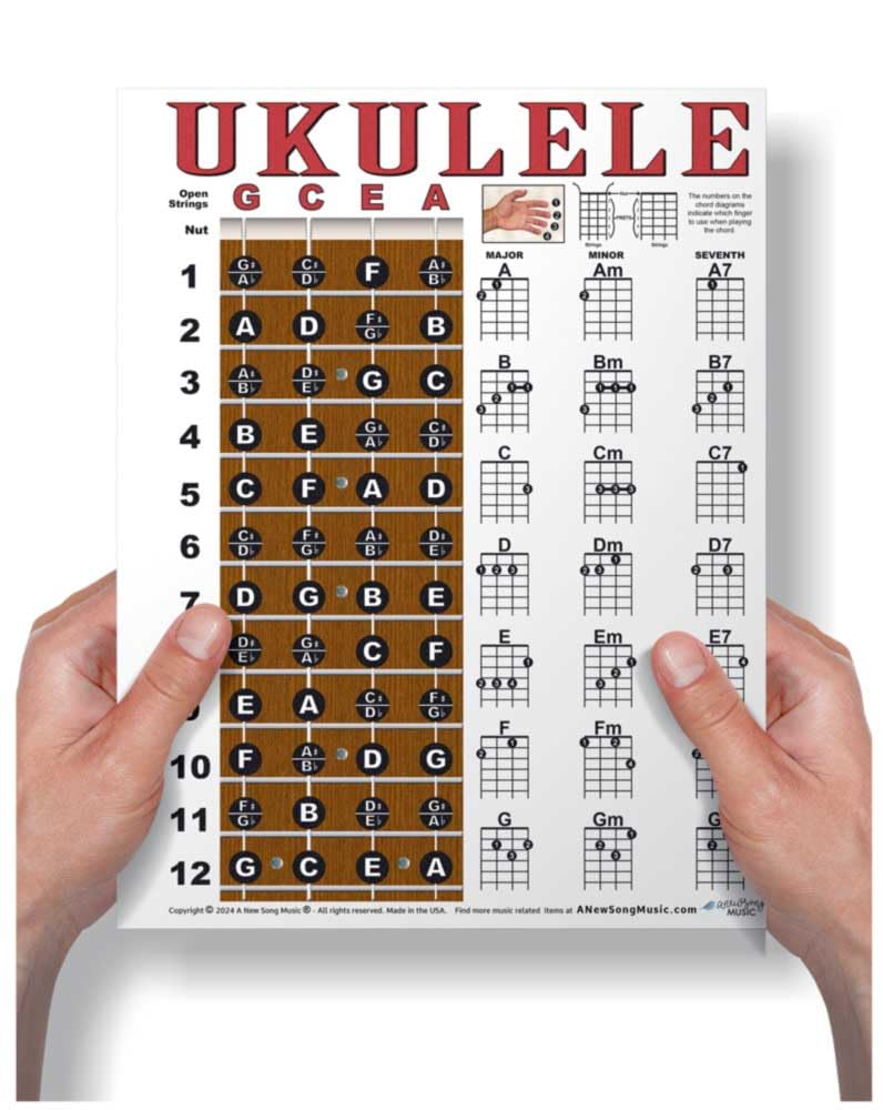 A New Song Music Laminated Ukulele Fretboard & Chord Chart for Soprano Concert Tenor Uke (gCEA) Easy Instructional Poster for No