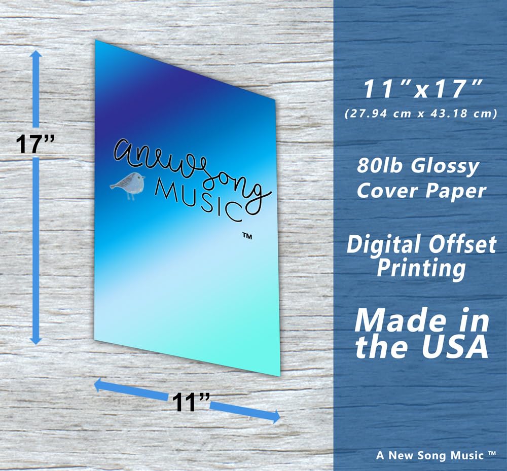 Dobro G Tuning Resonator Guitar Fretboard Note & Rolls Chart - Beginners & Intermediate Instructional Easy Poster Chords 11x17 |