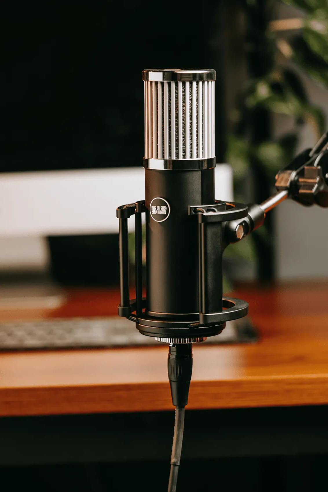 512 Audio by Warm Audio Skylight Large Diaphragm Studio Condenser XLR Microphone + Shock Mount + Bag for Recording and Podcastin