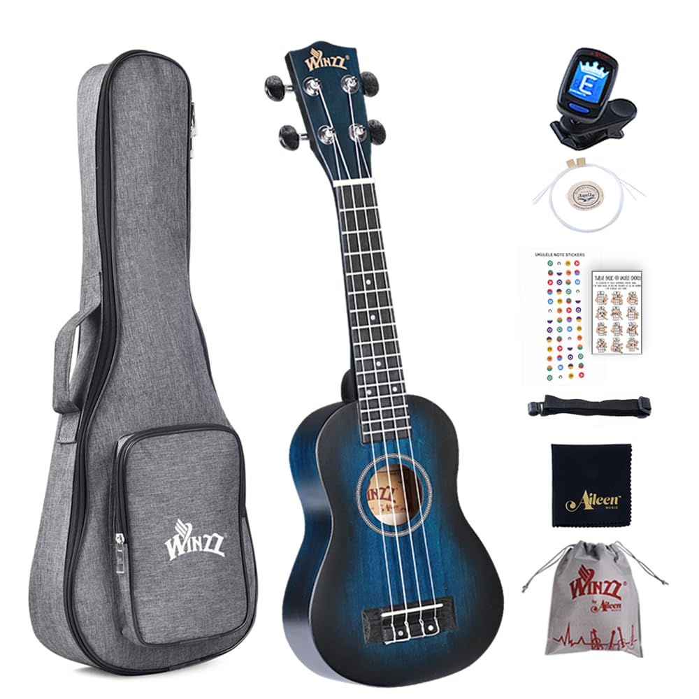 Winzz Ukulele Concert, Ukulele Beginner Kit for Adults and Children, Unique Color Design (vintage blue, 21 Inches - Soprano)