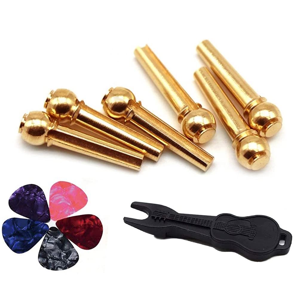 Alnicov Guitar Parts Set