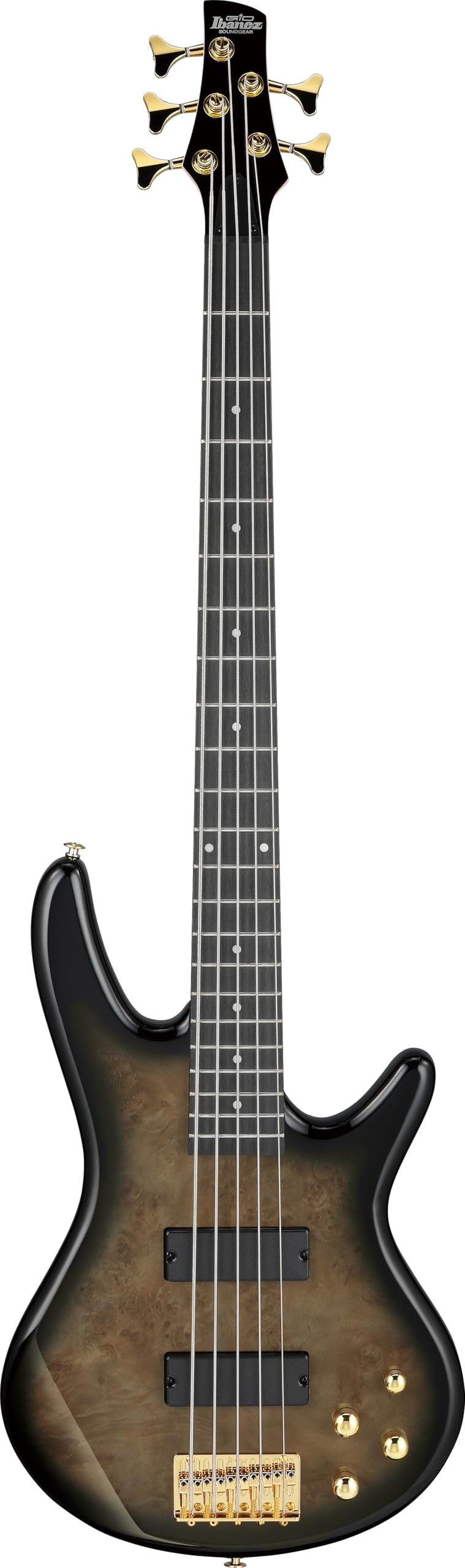 Ibanez Gio GSR205PC 5-string Bass Guitar - Transparent Pale Black Burst