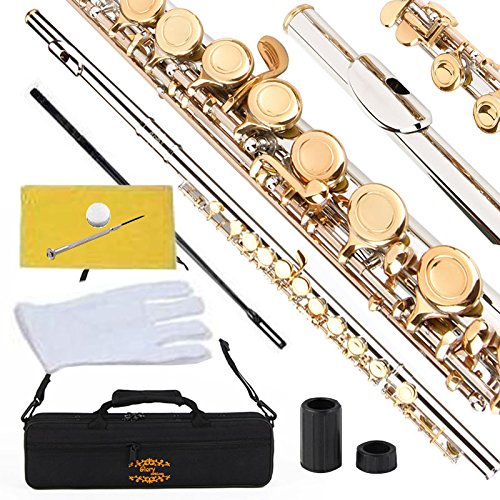 Glory Closed Hole C Flute With Case, Tuning Rod And Cloth,Joint Grease And Gloves, Nickel/Laquer