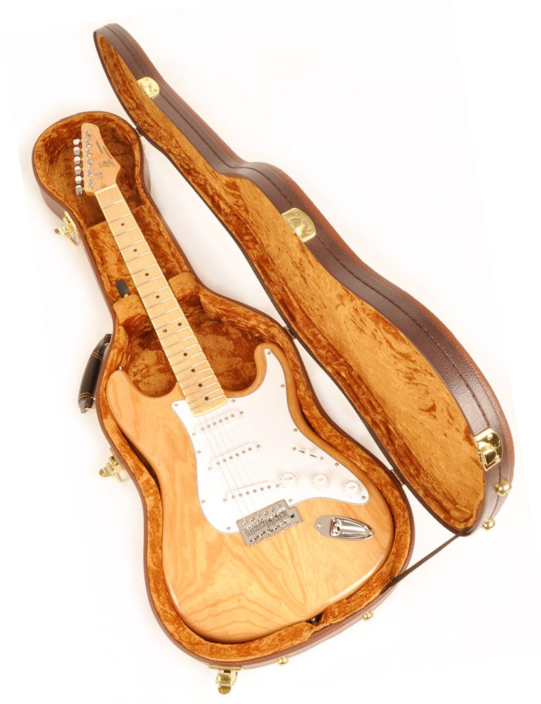 Douglas EGC-450 ST Brown/Gold Guitar Case for Fender Stratocaster Telecaster Strat Tele Rickenbacker 610, 620, 660 Epiphone Coro